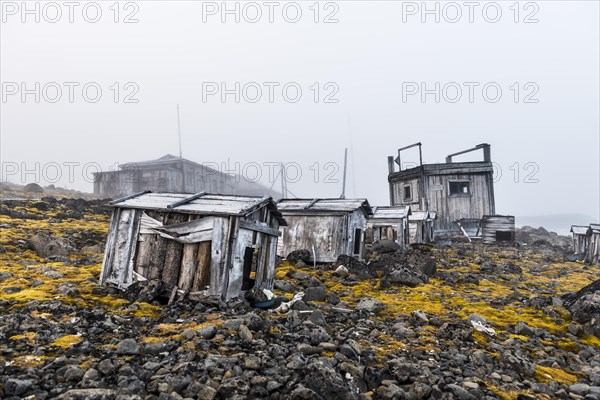 Polar huskies boxes in the historical meteorological station Sedov in Tikhaya bay on Hooker island
