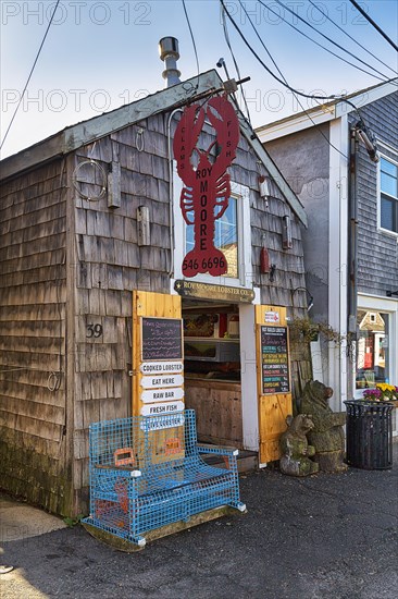 Lobster sales