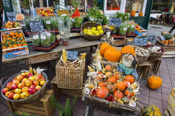 The Vienna Naschmarkt