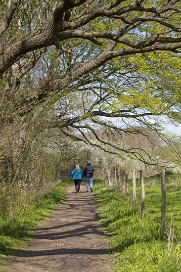 Hiking trail