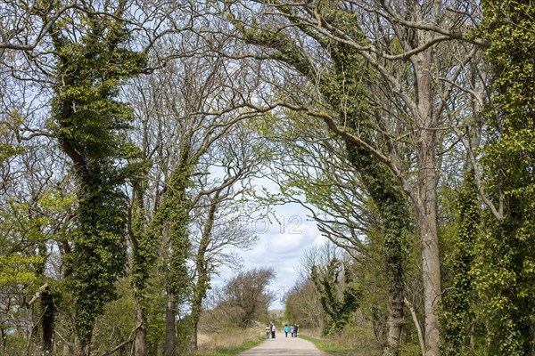 Hiking trail