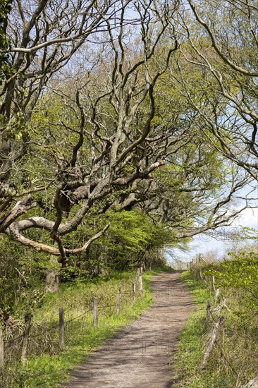 Hiking trail