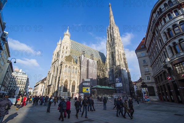 The Stephansdom in Vienna
