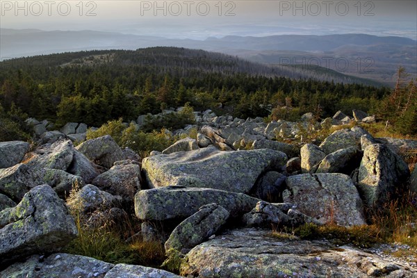 View of the Harz Mountains from the top of the Brocken