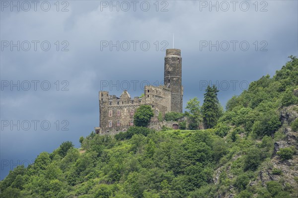 Castle Maus overlooking the Rhine river