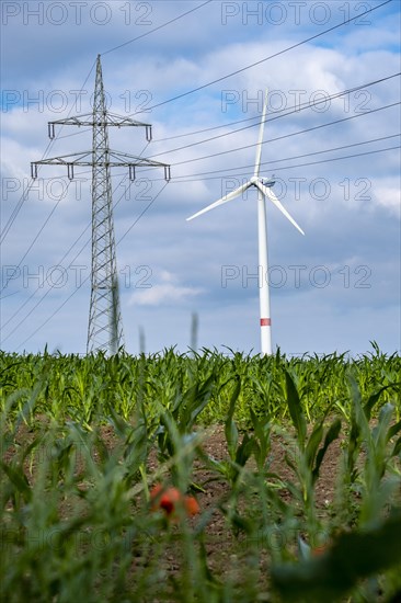 Wind turbines and power pylons at the Rundlingsdorf Gistenbeck