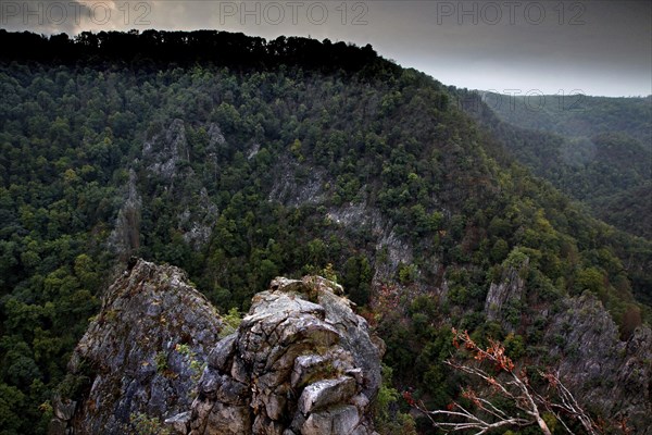 Granite rock above the Bode Valley