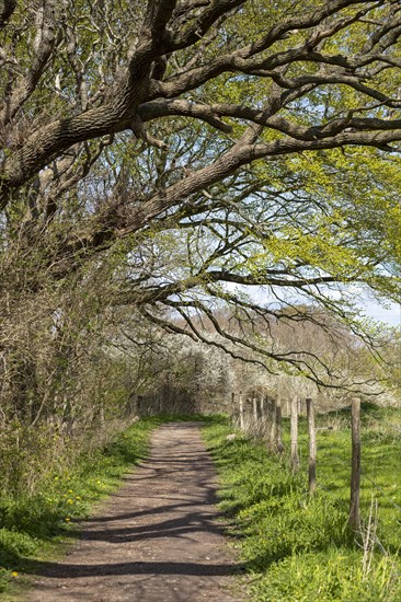 Hiking trail