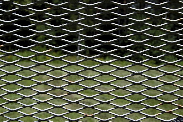 Border fence