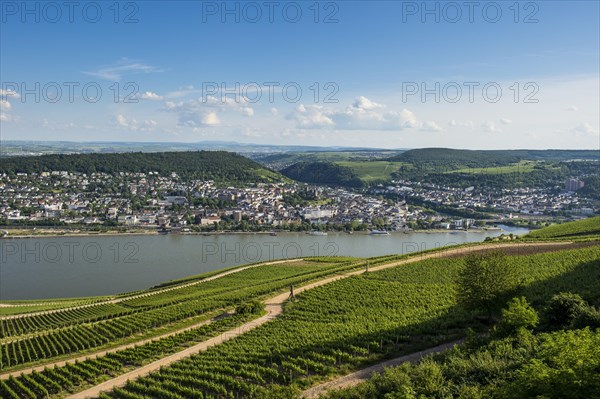 View over the Rhine from the Niederwalddenkmal monument