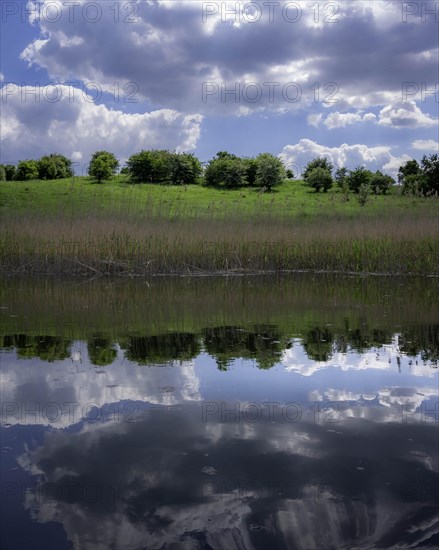 The bank of the Brda river near the village of Sapolno. Kashubia