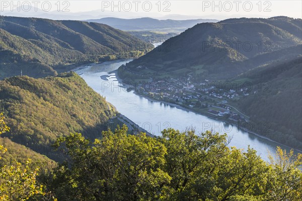 Overlook from Aggstein castle over the Danube. Wachau