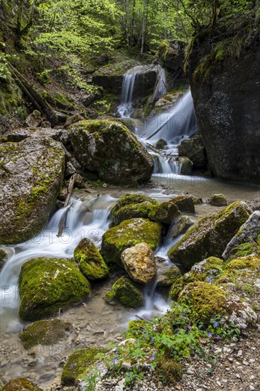 Gorge de Perrefitte