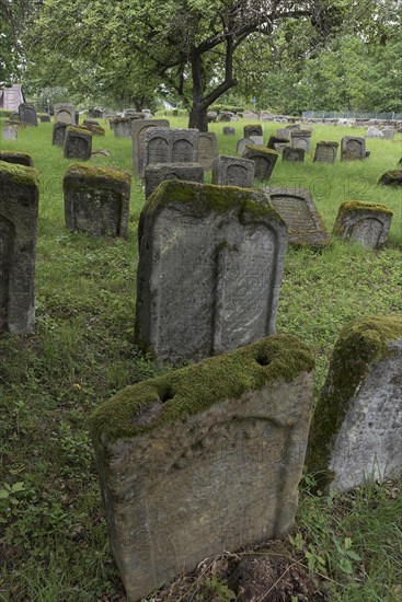 Jewish cemetery