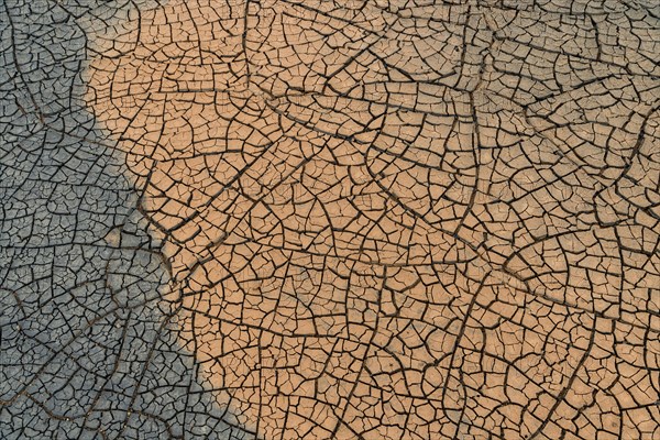 Cracks in the clay soil form mosaic-like structure