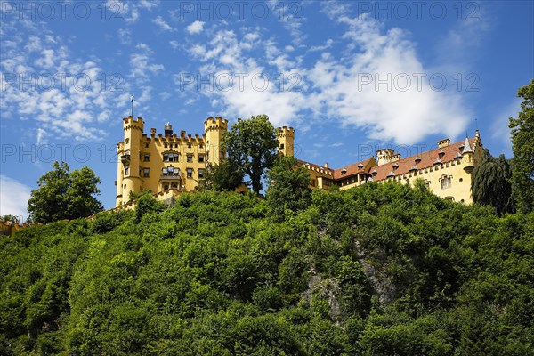 Hohenschwangau Castle