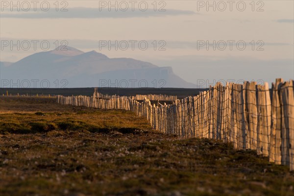 Driftwood fence