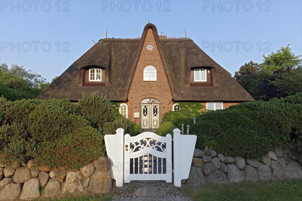 Frisian house with thatched roof