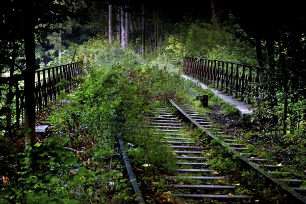 Railway tracks in the Eckertal valley