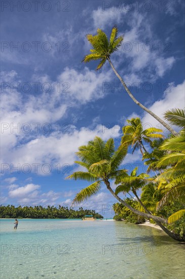 White sand and palm fringed beach in Aitutaki lagoon