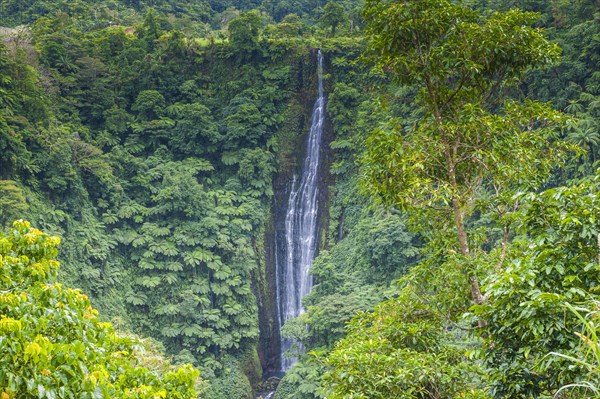 Papapapai-Tai Falls