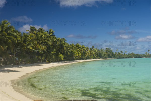 White sand beach and palm fringed beach in Aitutaki lagoon