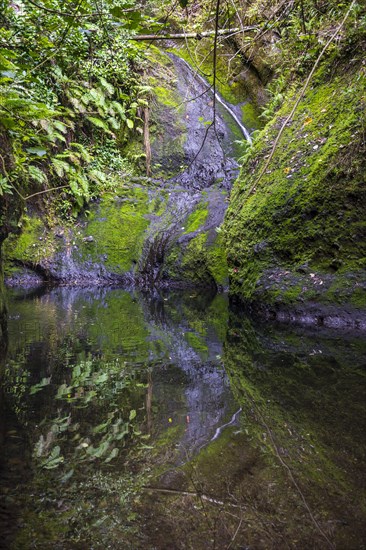 Wigmore's Waterfall