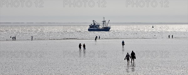 Mudflat walkers at low tide