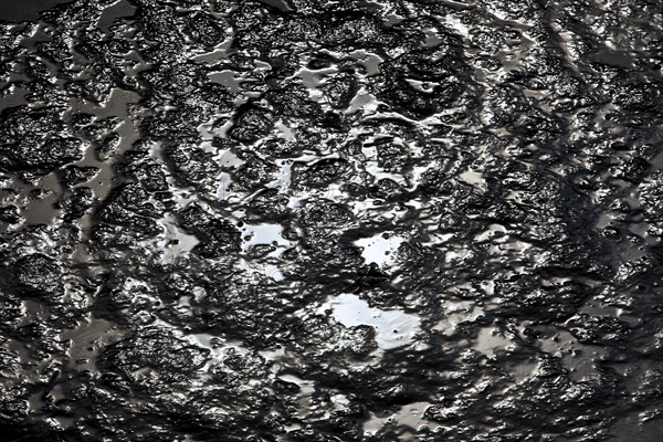 North Sea silt in the harbour basin at low tide
