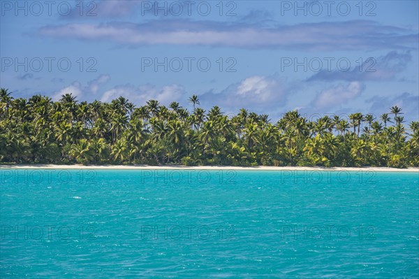 White sand beach and palm fringed beach in Aitutaki lagoon