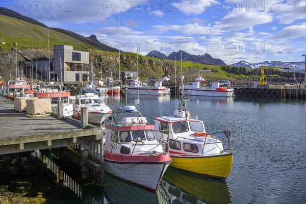 Ships in the harbour of Borgarfjoerour in the background new tourist info with cafe