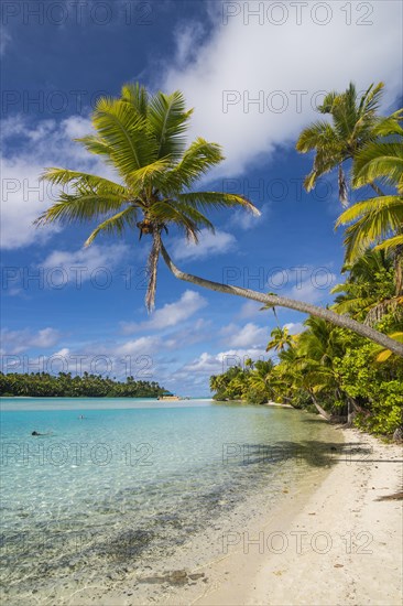 White sand and palm fringed beach in Aitutaki lagoon