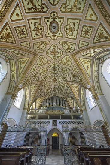 Ceiling vault and organ loft