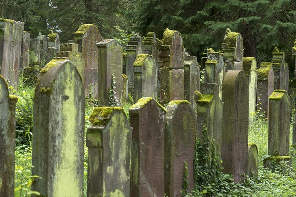 Historic Jewish cemetery