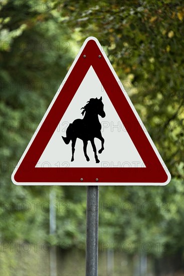 Traffic sign