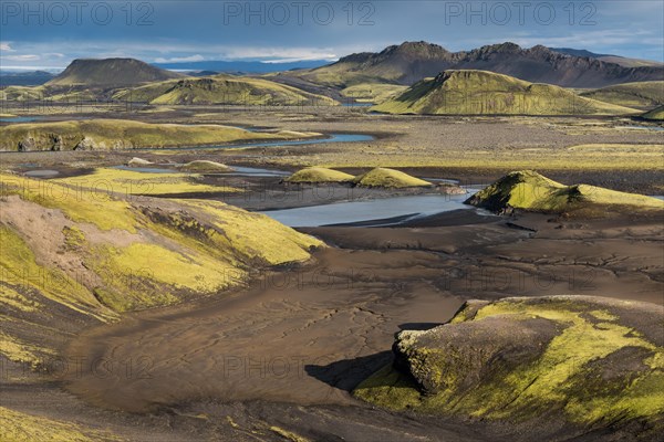 Mossy hills