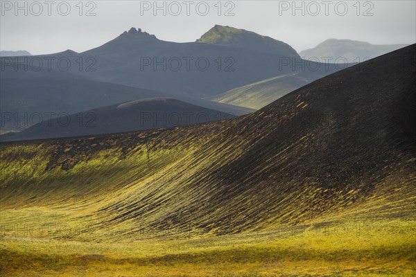 Mossy hills
