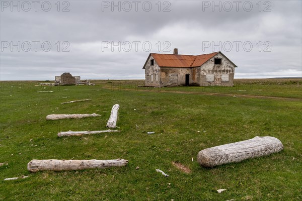Driftwood