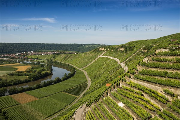 Neckar Loop and Vineyards