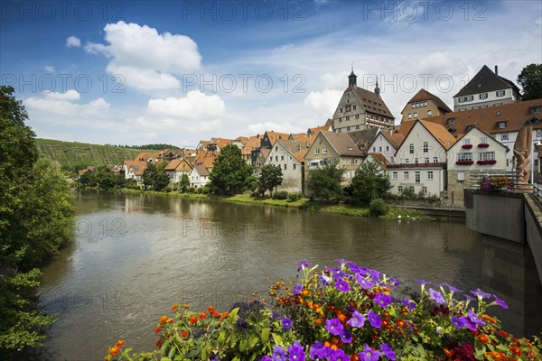 Town view
