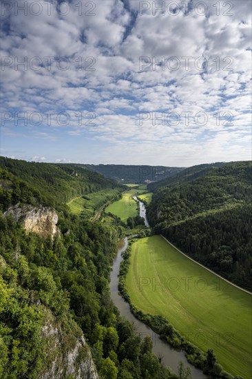View from the Knopfmacherfelsen into the Danube valley