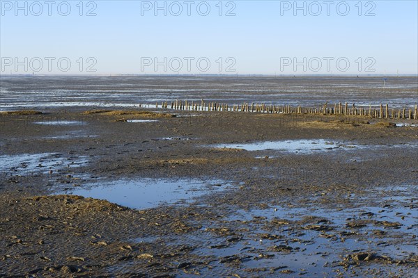 Low tide on the North Sea coast
