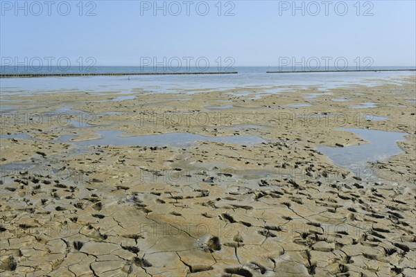 Footprints in the mudflats
