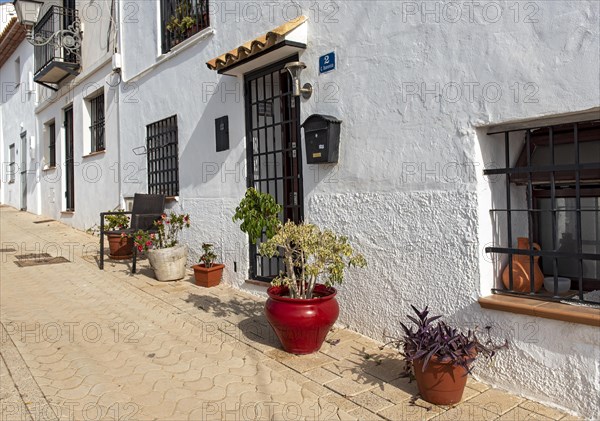 Colorful flowerpots outside white houses of Altea Old Town