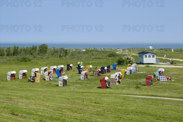 Beach chairs on the green beach