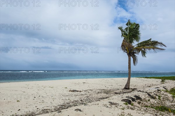 White sand beach in nothern Upolo