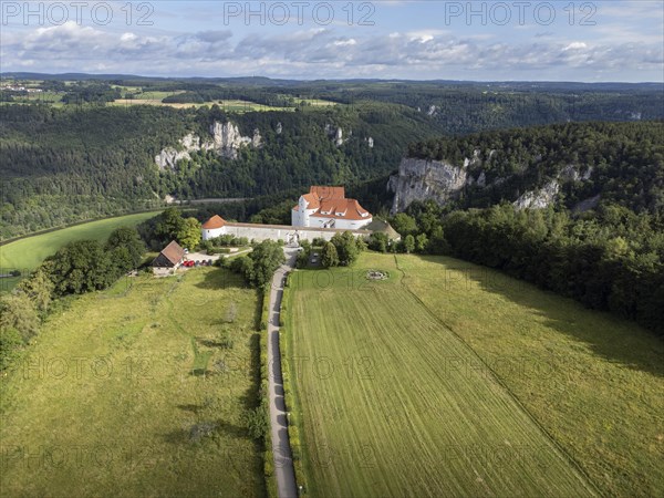 Wildenstein Castle