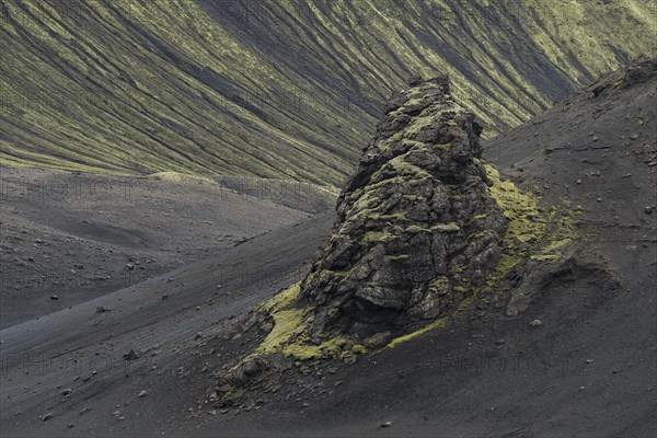 Mossy rock