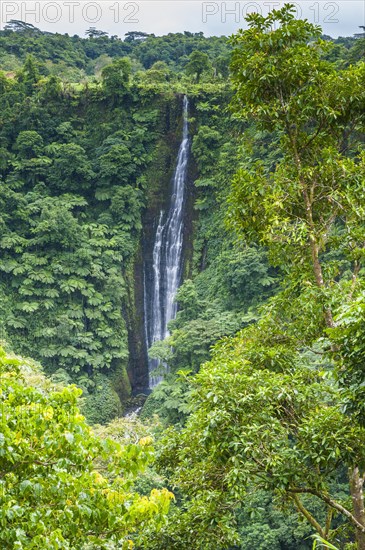 Papapapai-Tai Falls