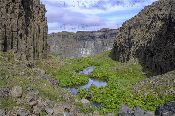 Green side canyon with small stream
